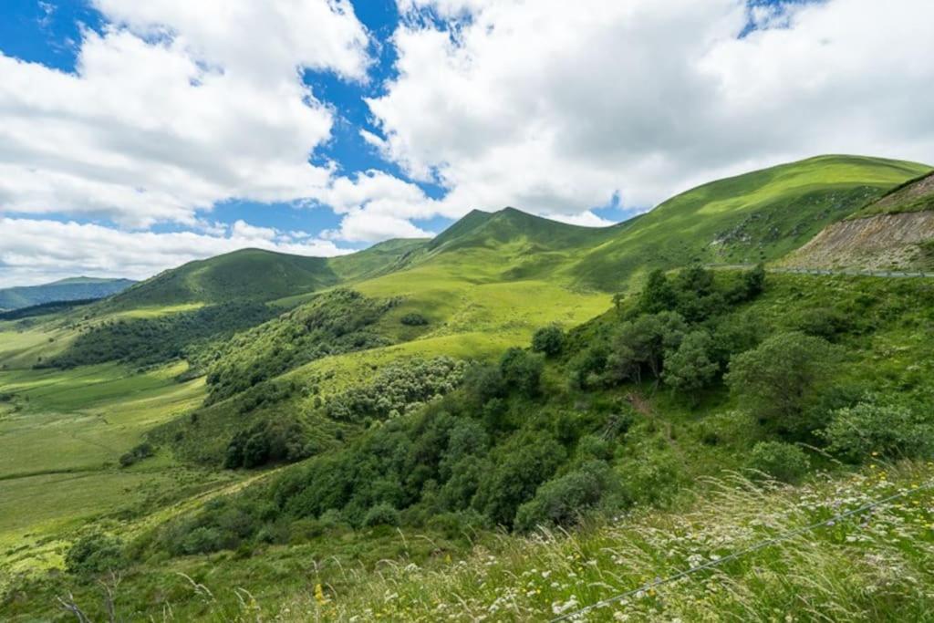Appt Lumineux, Thermes Et Montagne La Bourboule Exterior foto