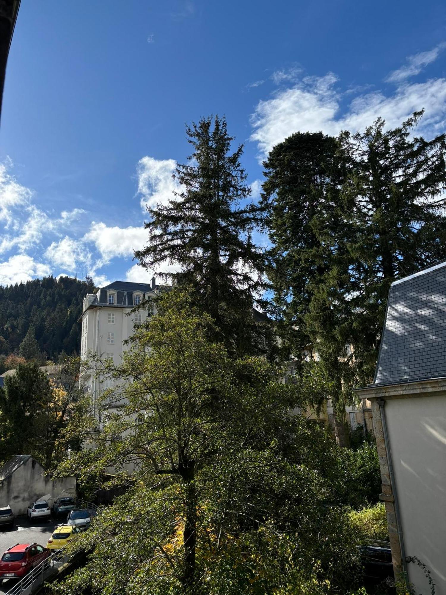 Appt Lumineux, Thermes Et Montagne La Bourboule Exterior foto